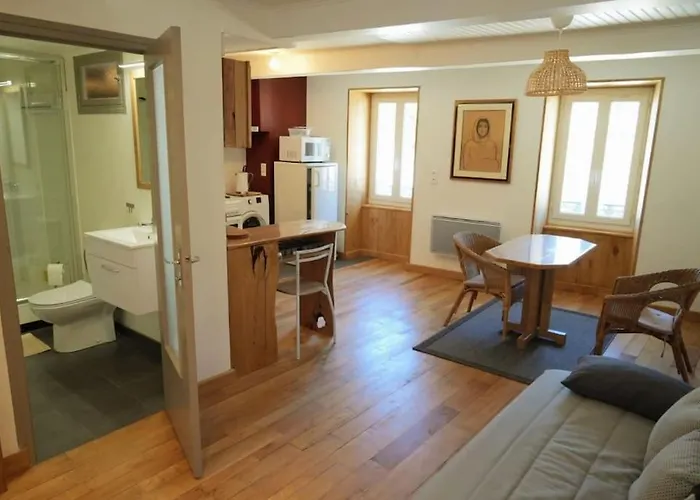 Appartement Avec Cachet Au Coeur De Vals Les Bains
